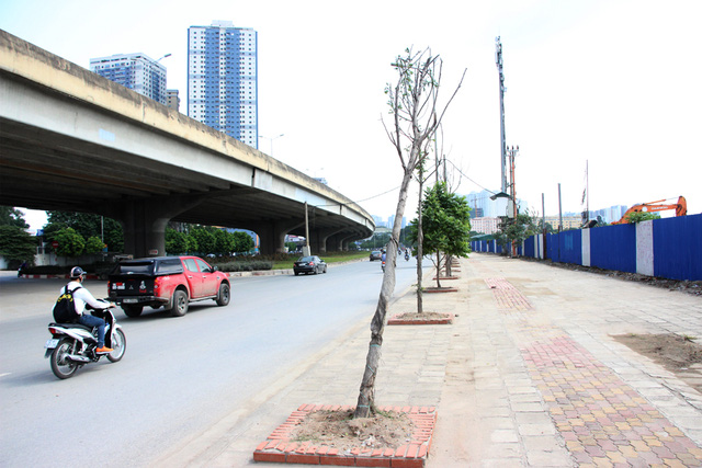 [-]Hà[-]Nội:[-]Hàng[-]cây[-]xanh[-]mới[-]trồng[-]đã[-]chết[-]khô